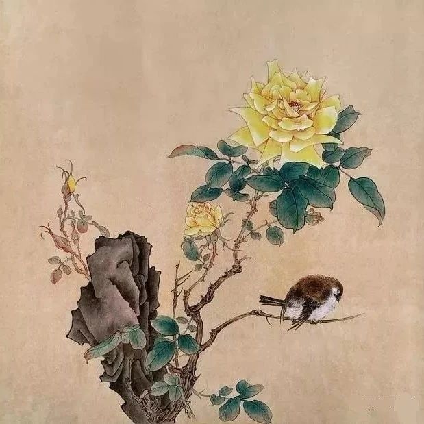 启功荷花作品欣赏,启功《荷上花帖》