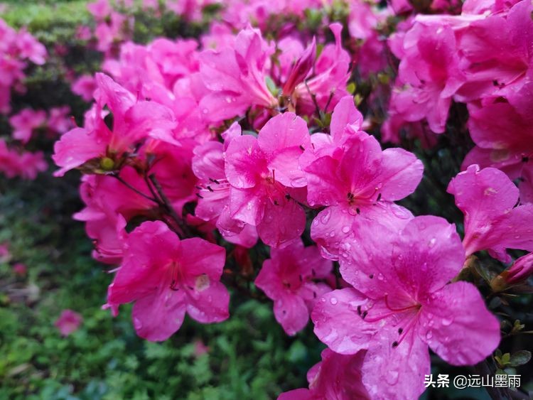 昆明世博园最值得看的有哪些景点,昆明世博园哪里看花最好看