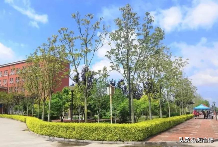 合肥中小学秋季开学报到时间,安徽合肥中小学开学时间最新通知