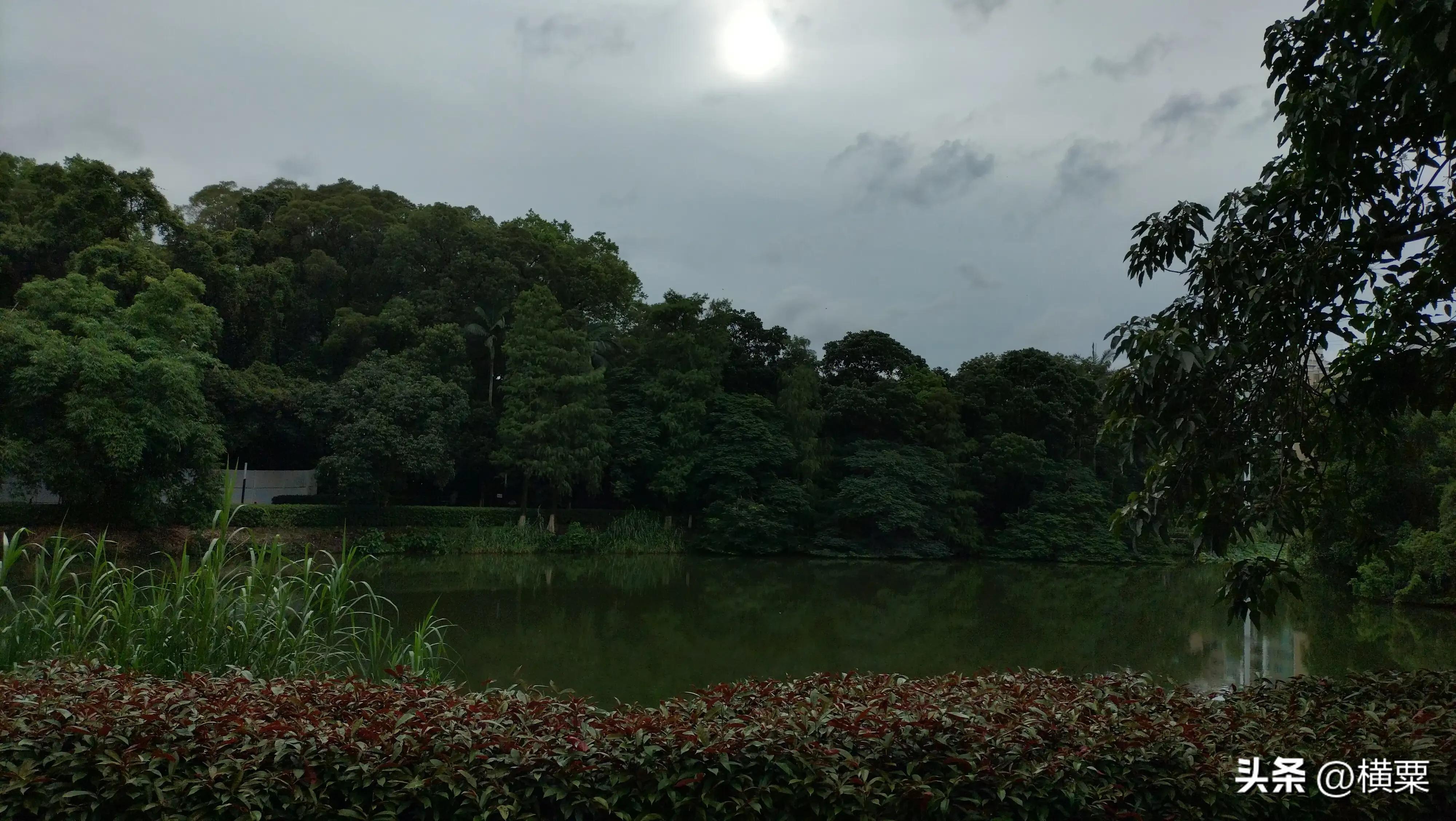 珠海唐家湾有什么好玩的地方,珠海唐家湾有什么