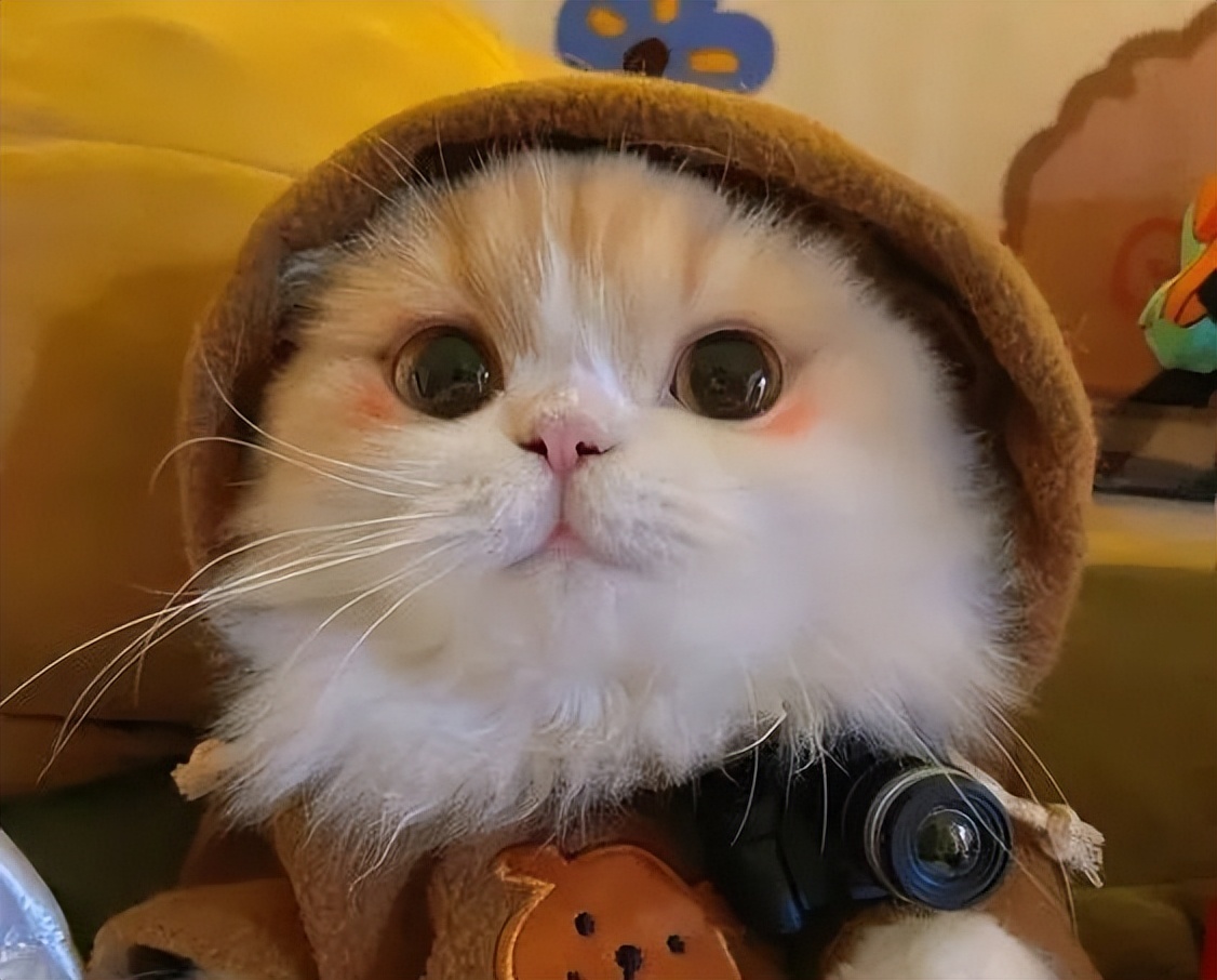 普通人获取快乐的10种方式,普通人如何获得幸福感