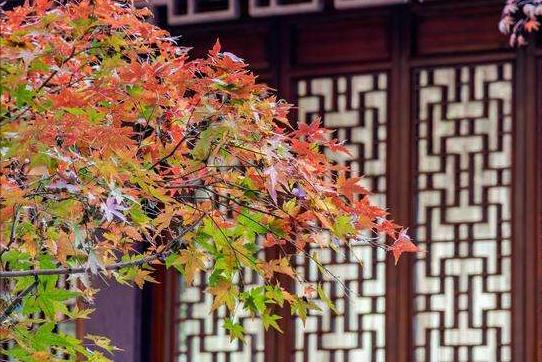 十首必背闺怨诗,最简单的闺怨诗