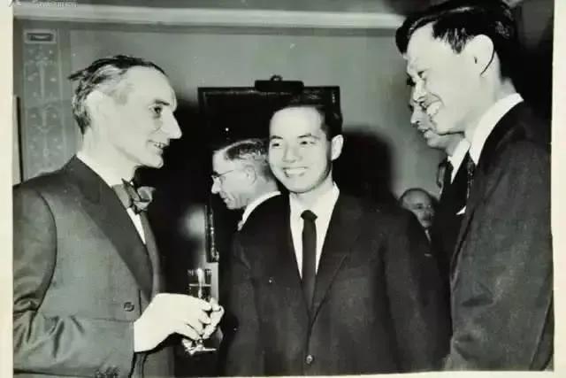 杨振宁今年100岁翁帆多少岁,翁帆不嫌弃杨振宁老年味吗