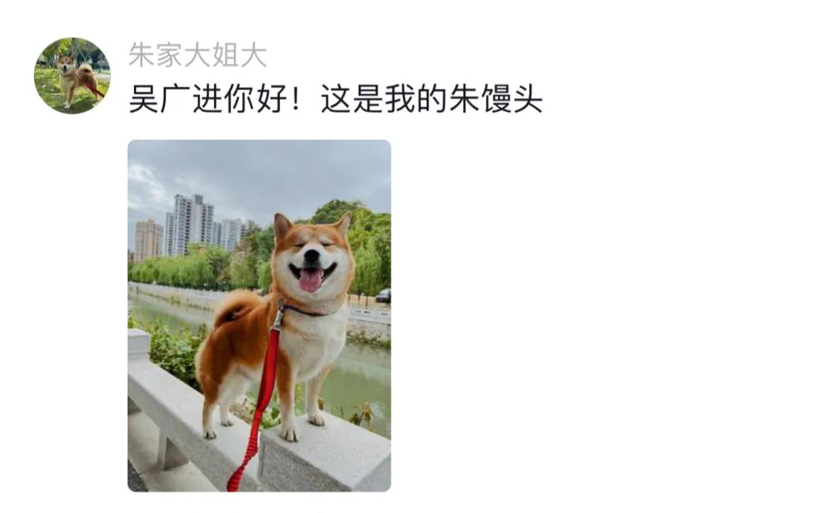 千万别给宠物取个名字,取一个仙气的宠物名字