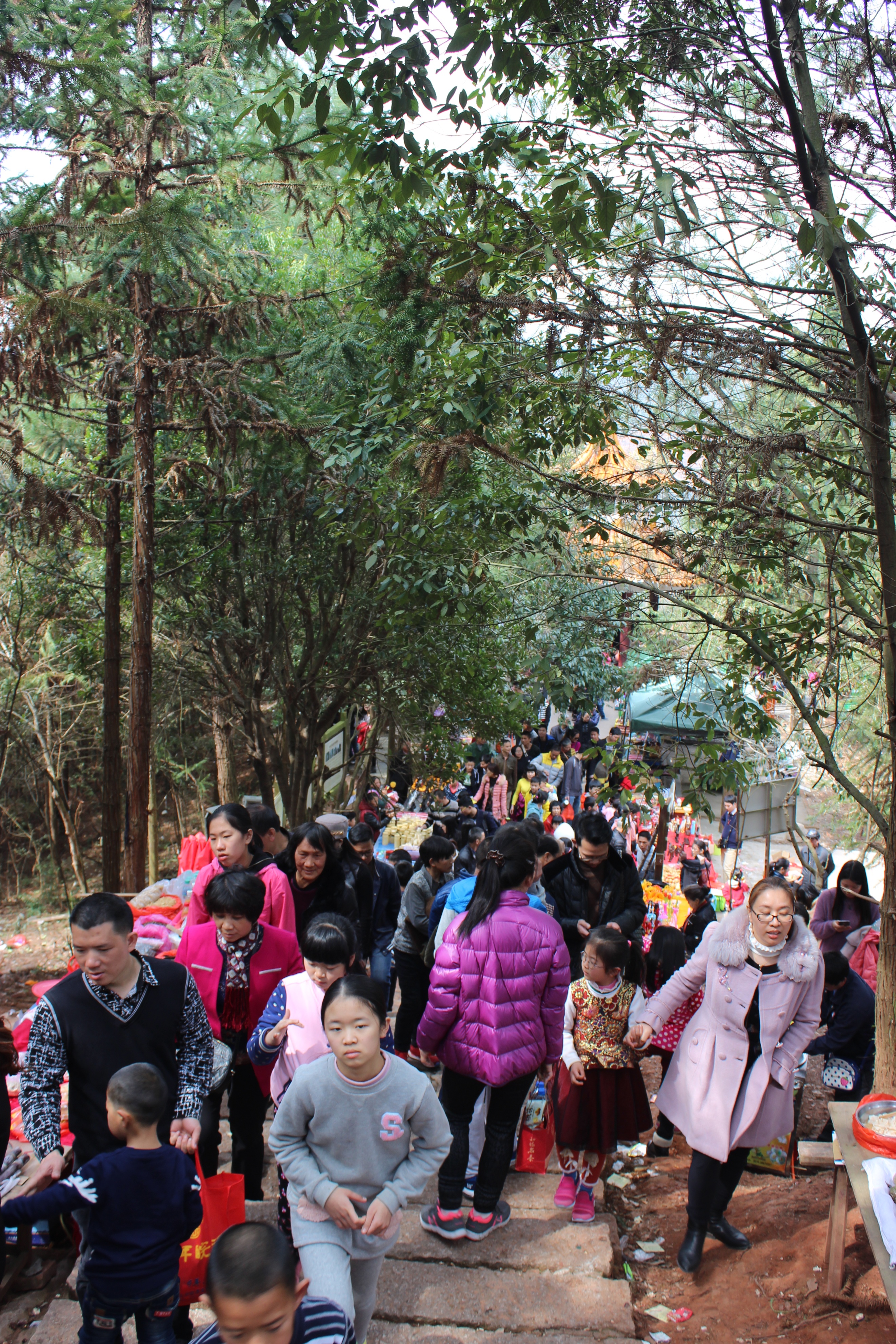赣州周末出游攻略,春节赣州出发2-3天短途旅游