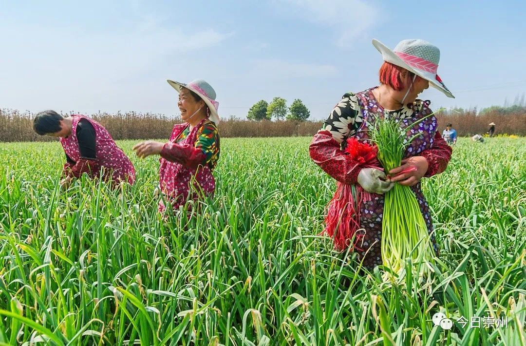 江源的意思,江源区原先叫什么