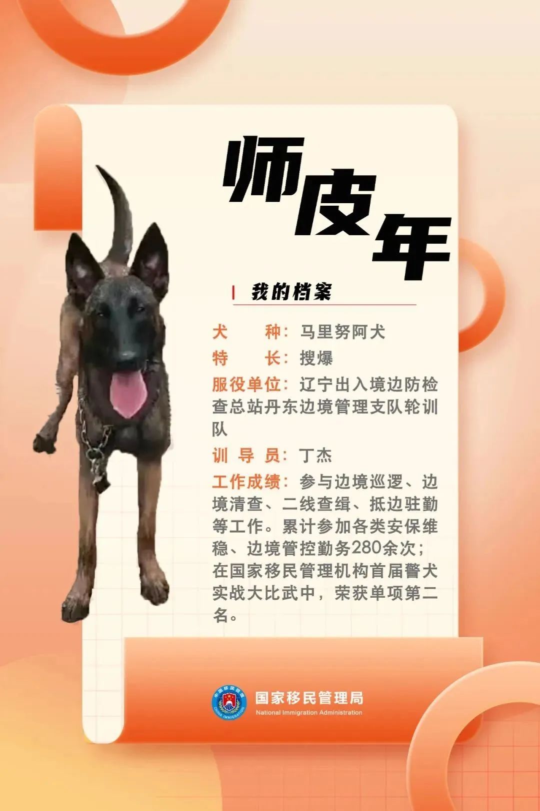 功勋犬天狼,功勋犬挑战不可能