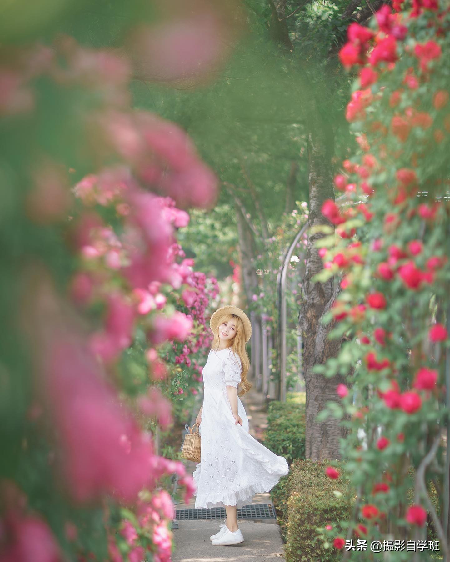 手机摄影前景虚化拍摄技巧,手机摄影怎么拍前景虚化风景照