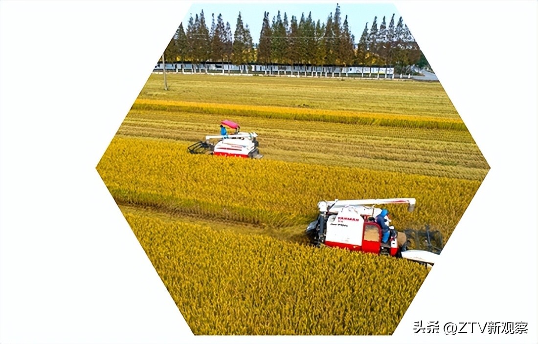 干窑镇未来发展,干窑镇窑文化