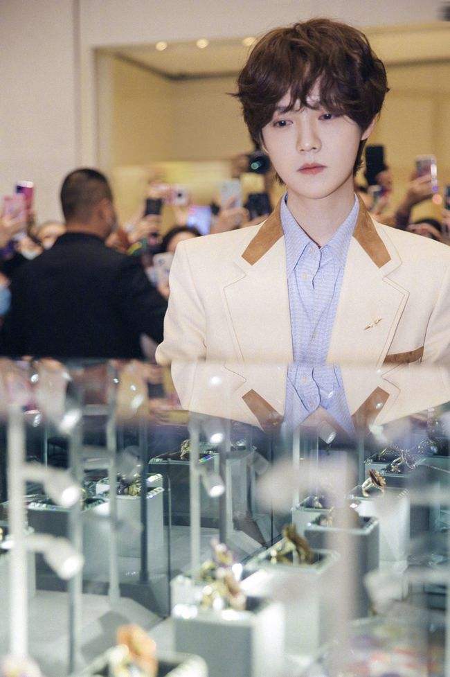 关晓彤和鹿晗领证了吗,鹿晗关晓彤疑似好事将近