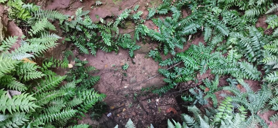 河南周口市山顶洞人遗址,中国最原始的山顶洞人