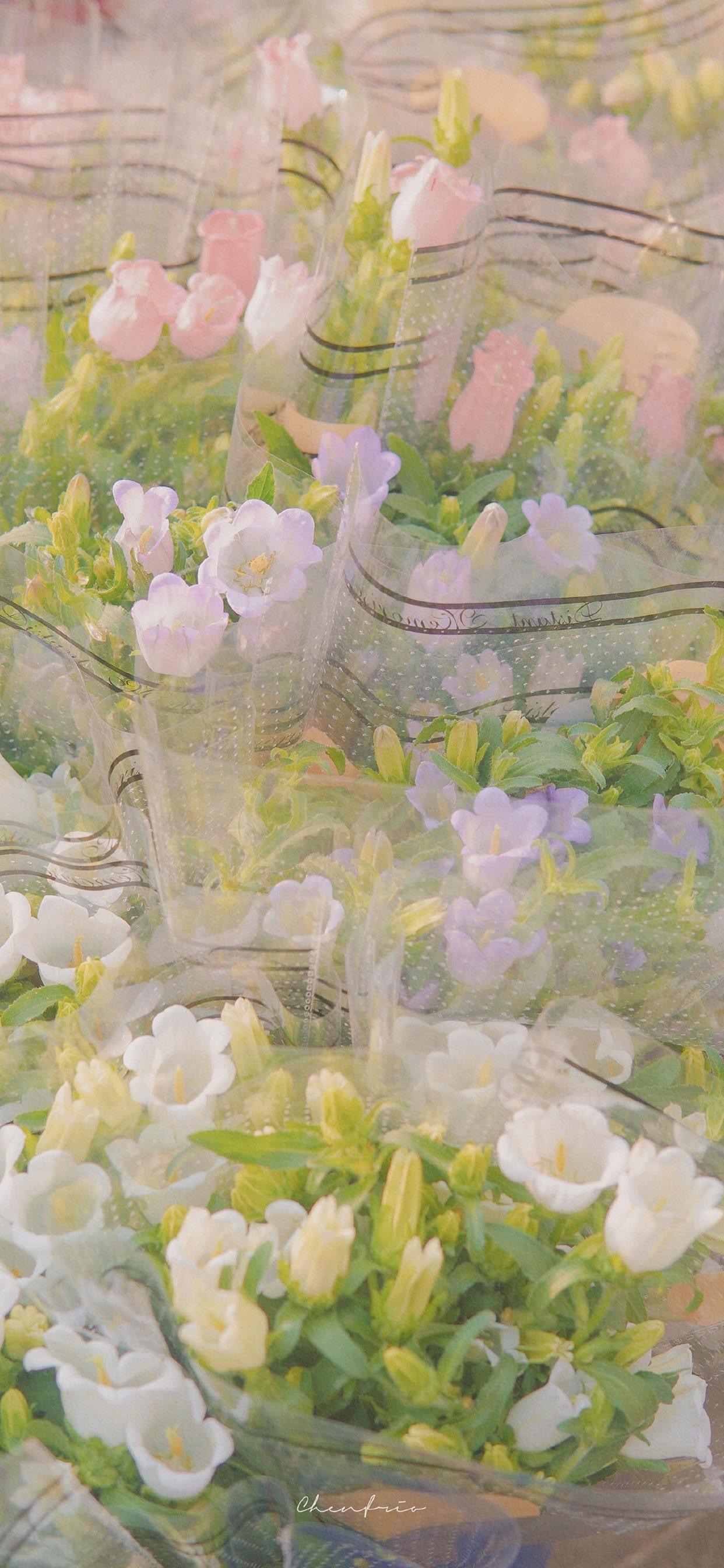 高清壁纸一组超好看的手机壁纸,24张精选手机壁纸很好看