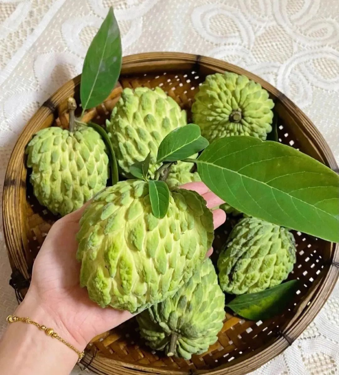 台湾滞销农产品,台湾凤梨释迦果滞销