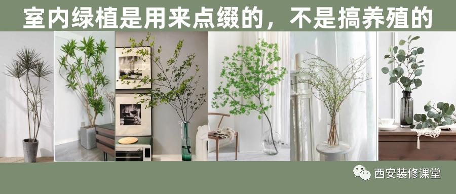 室内绿植软装搭配案例怎么摆,绿植与轻奢结合的软装搭配