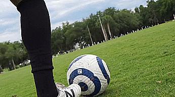 初学者必备十大技能有哪些,初学者必学的10个基础知识