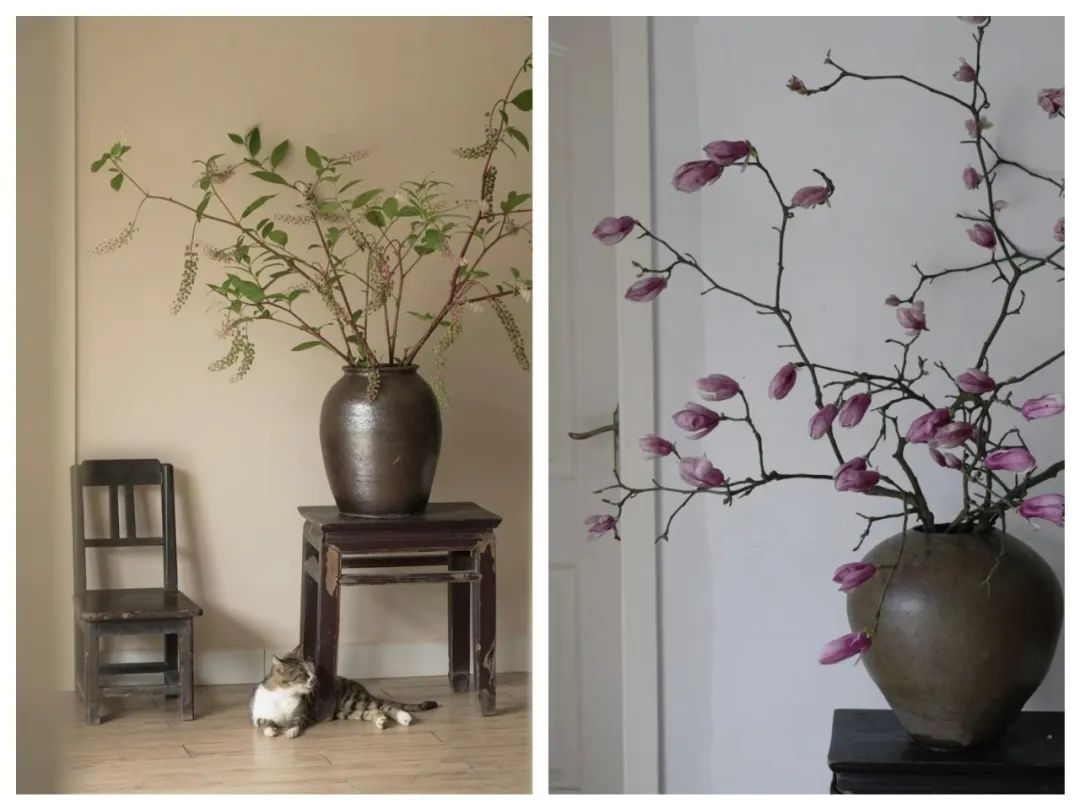 四个人回老家改造老房子,90后回农村建房子视频