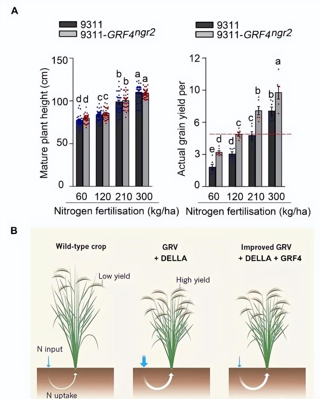 无线传感器网络技术：不同肥料处理下生长的秋葵的比较分析