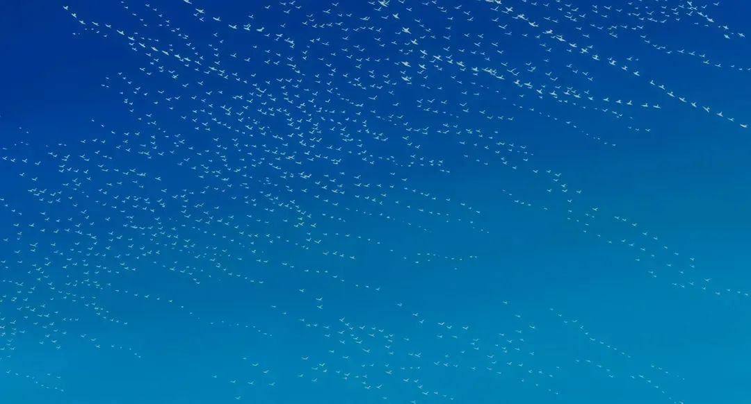 寻找网络兼职如何避免上当受骗,十大骗人兼职方法