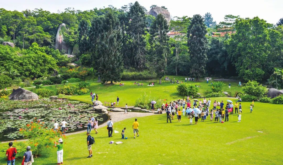 香港新晋的明星,现身厦门的香港明星