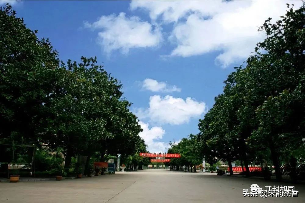 开封市第二十五中学,开封市第25中学名单