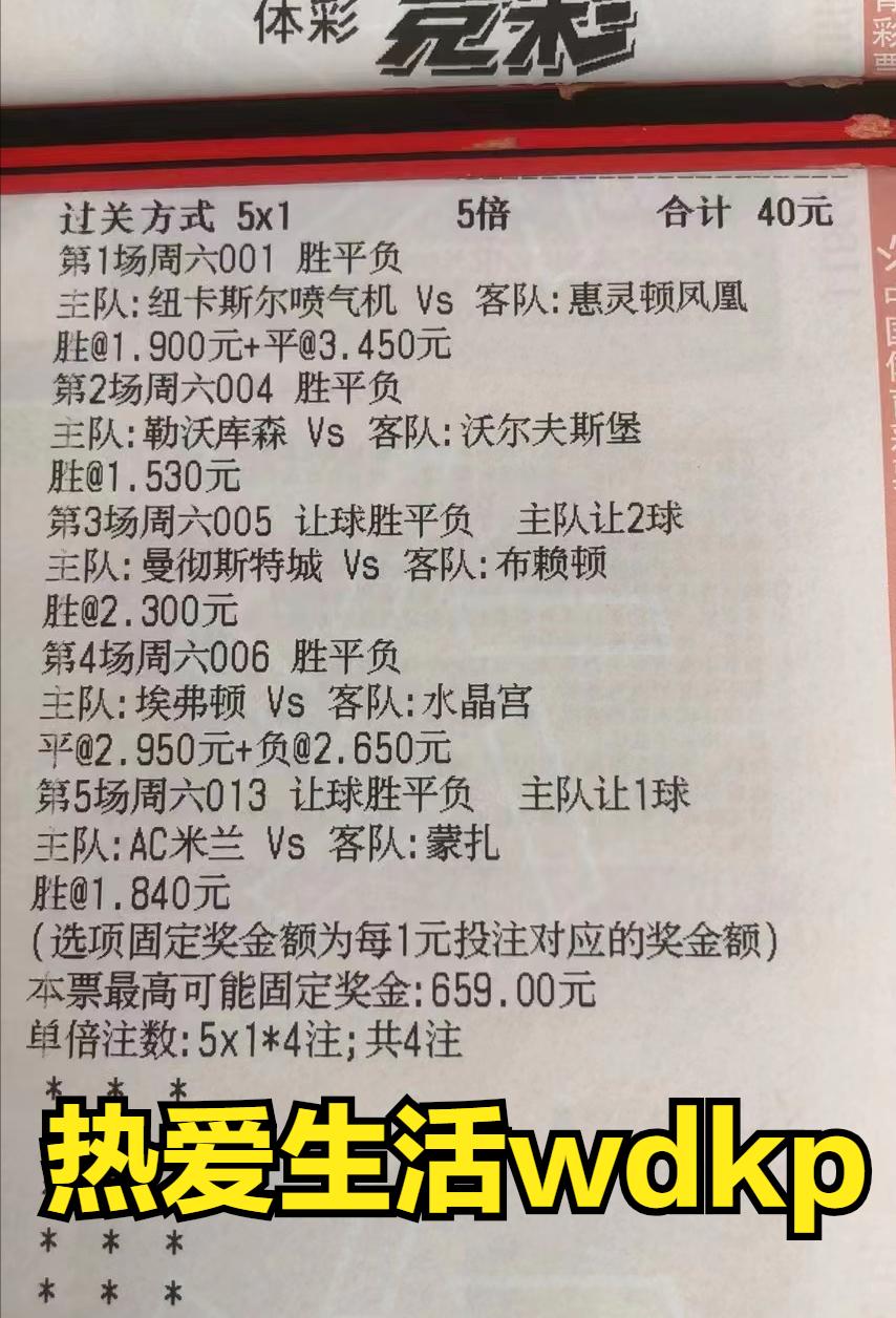 德甲分析沃尔夫斯堡vs勒沃库森,2024勒沃库森vs沃尔夫斯堡