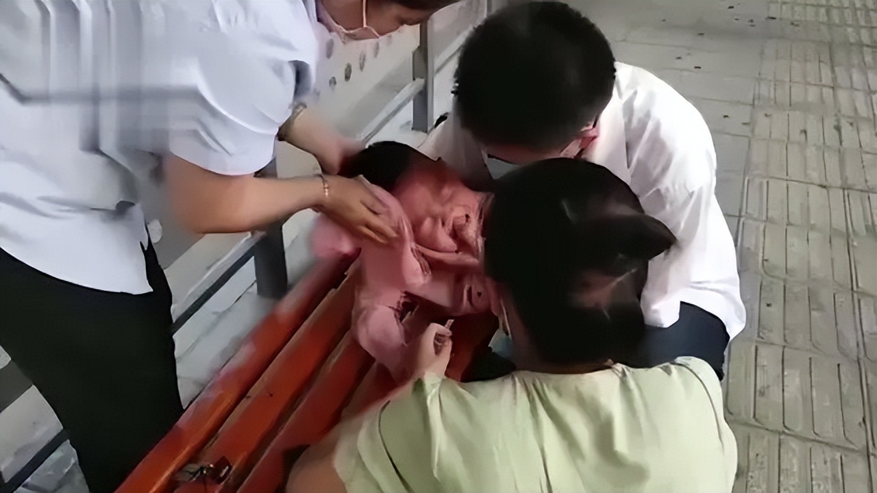 母亲把儿子关在小屋里23个月,母亲将儿子关笼子15年