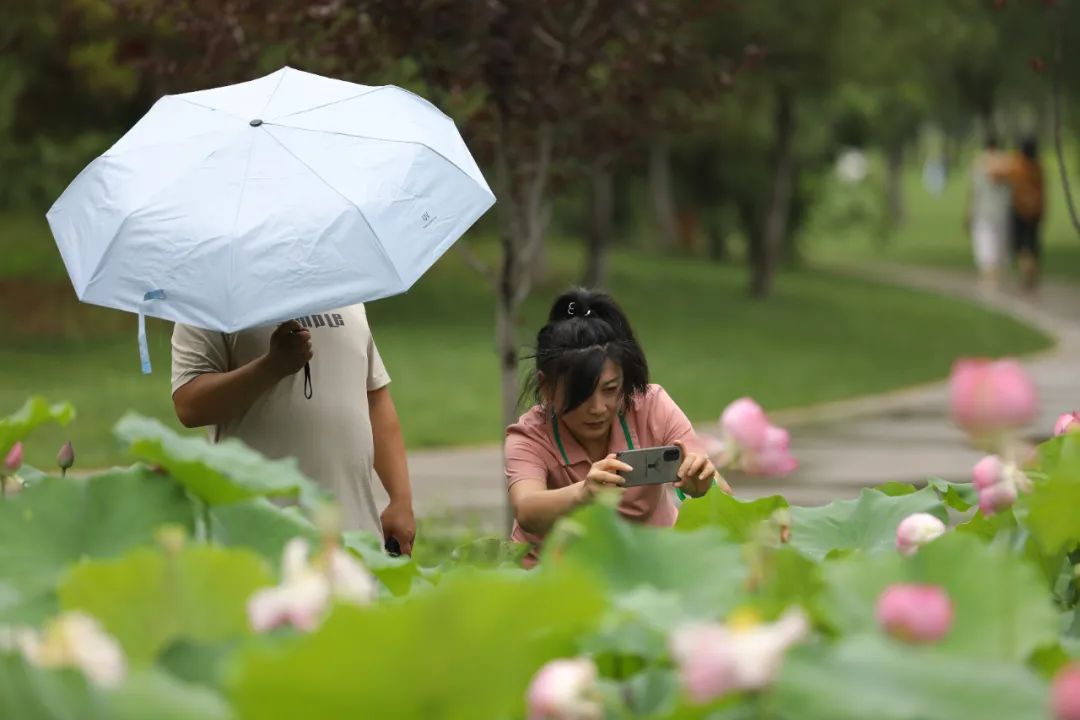 荷你有约环创,荷你有约完整视频