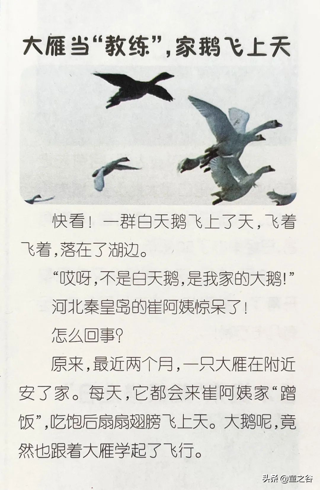 国内第一份新闻故事报,小学生也能轻松读懂时事热点