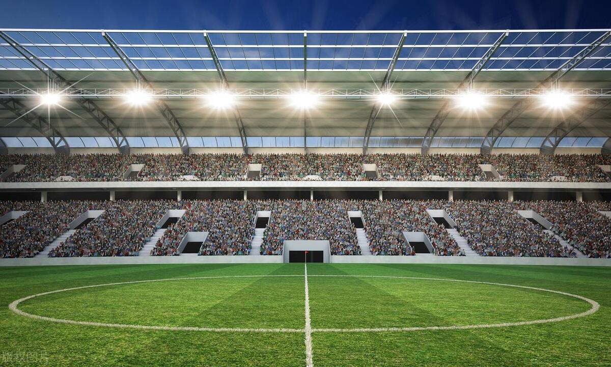 张再林的英语,张再林身体哲学