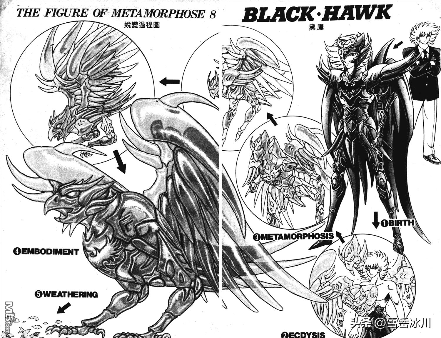 静斗士翔结局,静斗士翔实力排行