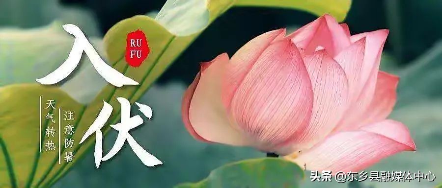 三伏天入伏计算公式,三伏天入伏壁纸