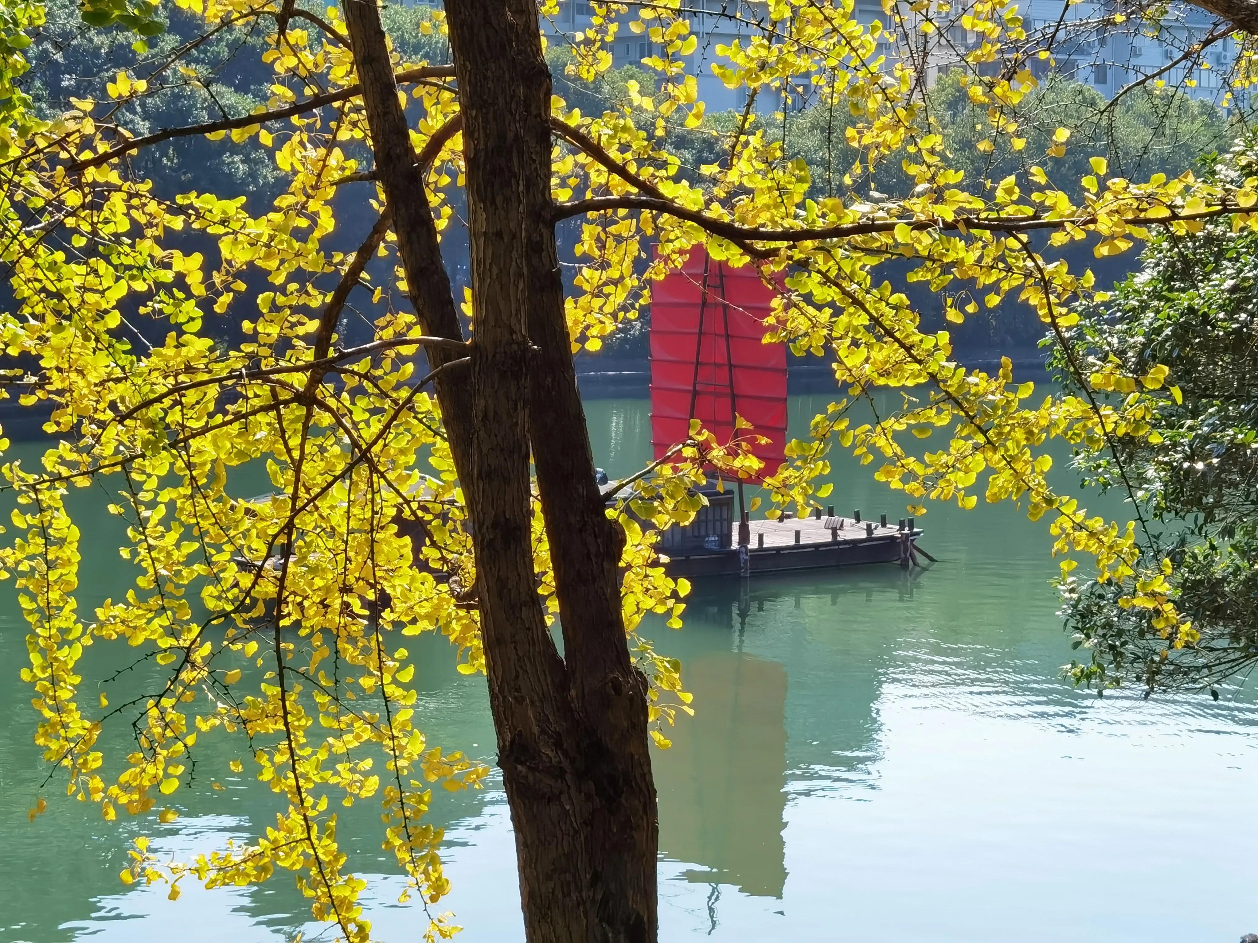 桂林的桂湖在哪里,桂林两江四湖之桂湖