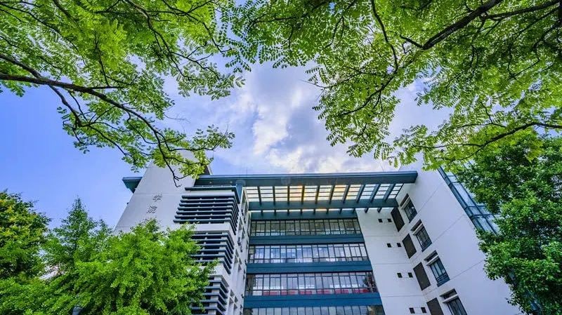 中国女足夺冠后里程碑,女足夺冠最大功臣