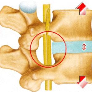 开工了当然要“生龙活虎”，这些疾病，最近特别容易中招！