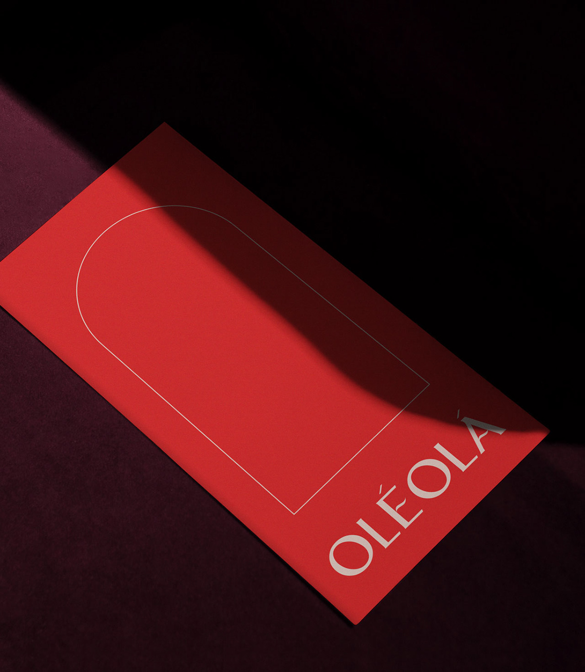 logo品牌视觉设计欣赏,大牌感logo设计