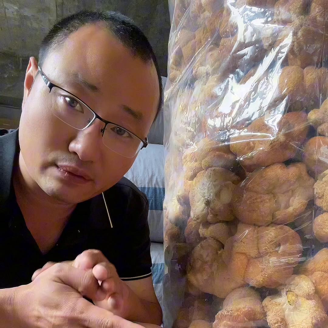 猴头菇粉和猴头菇片哪个效果更好,猴头菇打粉前需要清洗吗