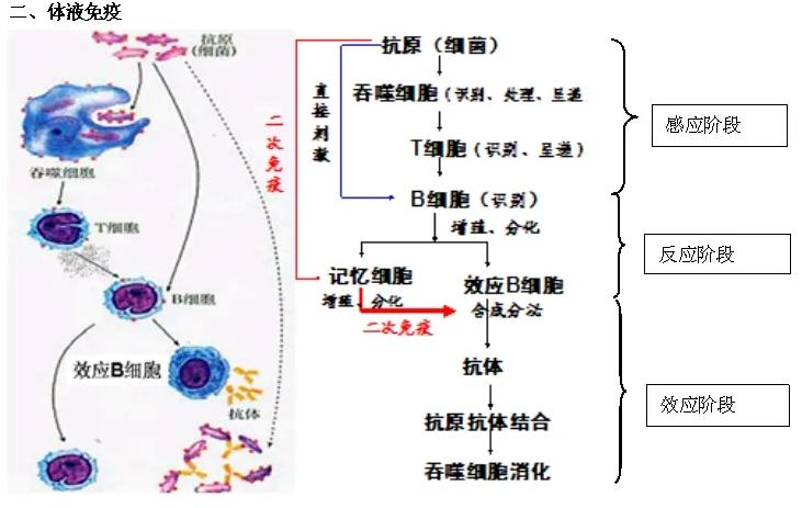 隐形战争困难模式,隐形战争最佳攻略