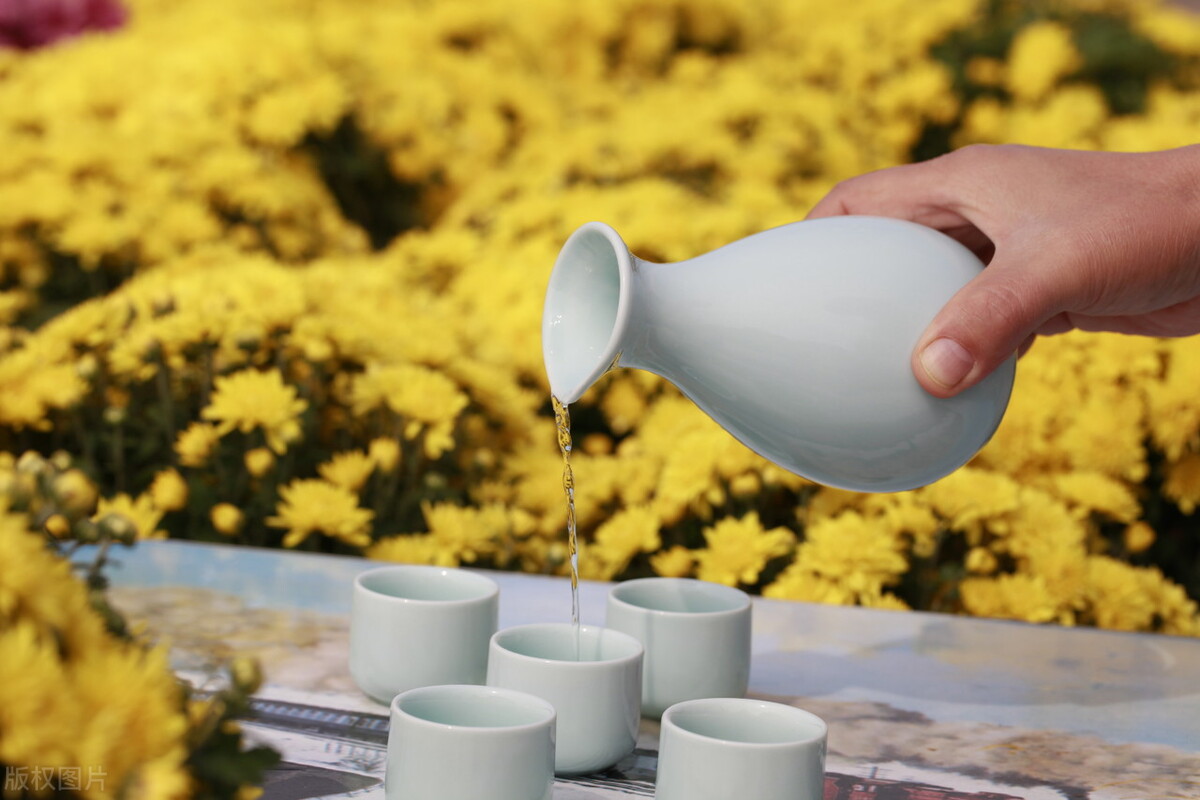 中国的酒文化深度好文,浅谈中国酒文化2500字