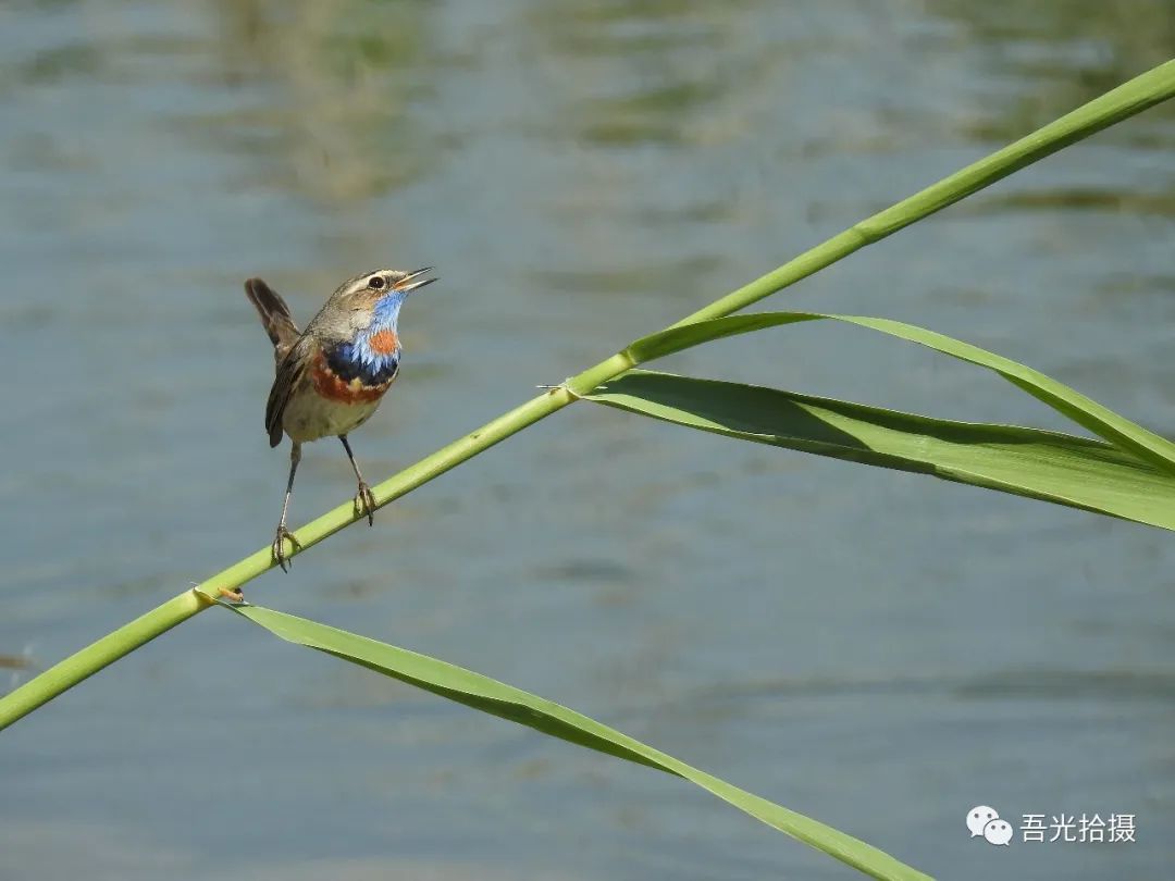 砂石坑什么时候挖出来,砂石石槽图片