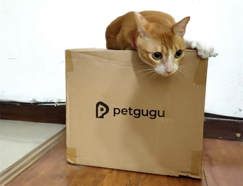 猫自动喂食器和饮水器评测,猫咪自动喂水喂食一体器智能恒温