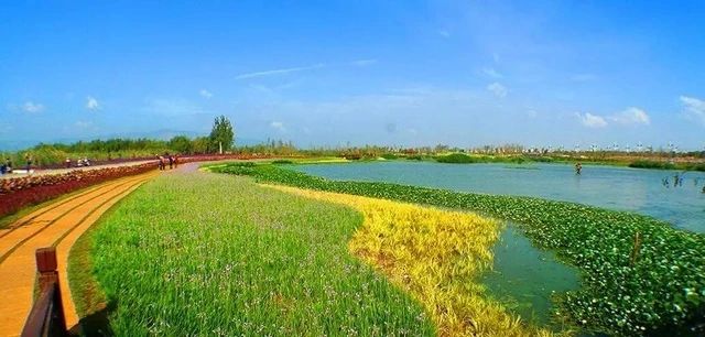 呈贡可以露营的公园,呈贡附近小众的露营地