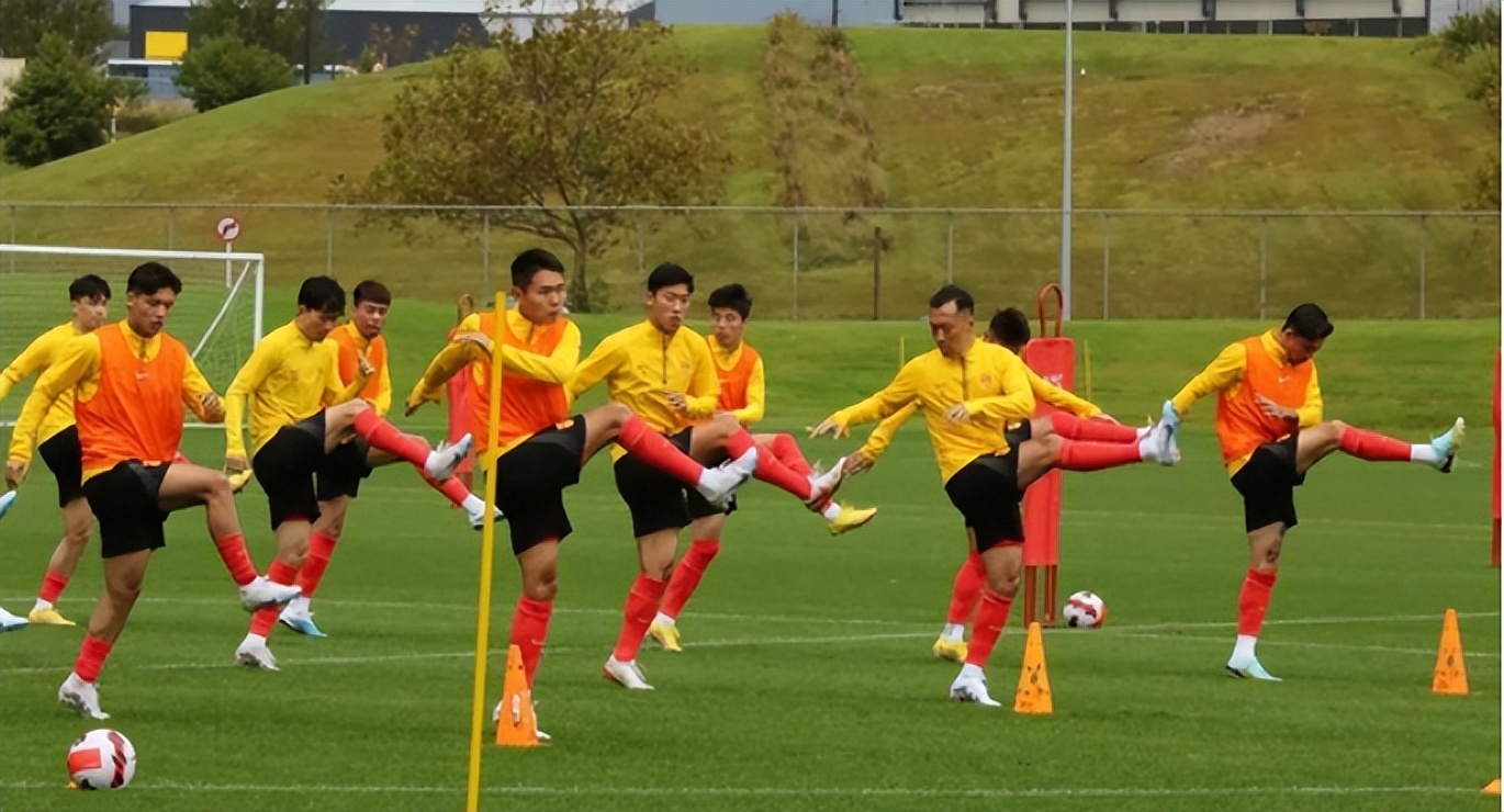 扬科维奇足球生涯集锦,扬科维奇带领男足冲击世界杯