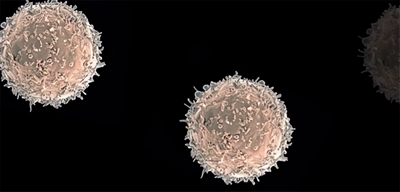 湖南树人刘忠文全部视频,树人刘忠文后续