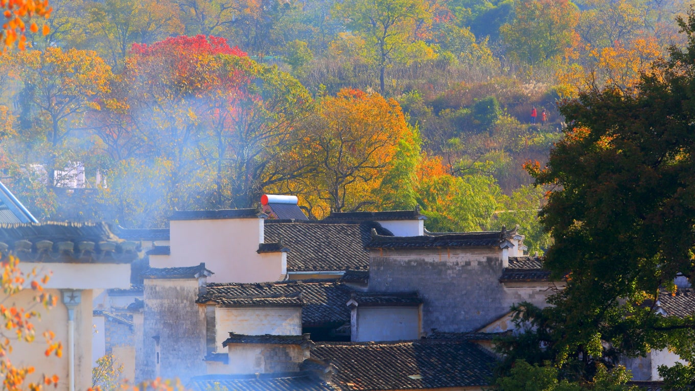 高铁到黄山北后有哪些景点,黄山北站到黄山风景区旅游攻略