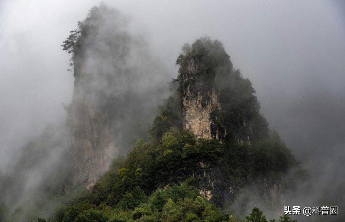 神农架深处被列为禁区的现象,神农架深处为何被列为禁区进不去