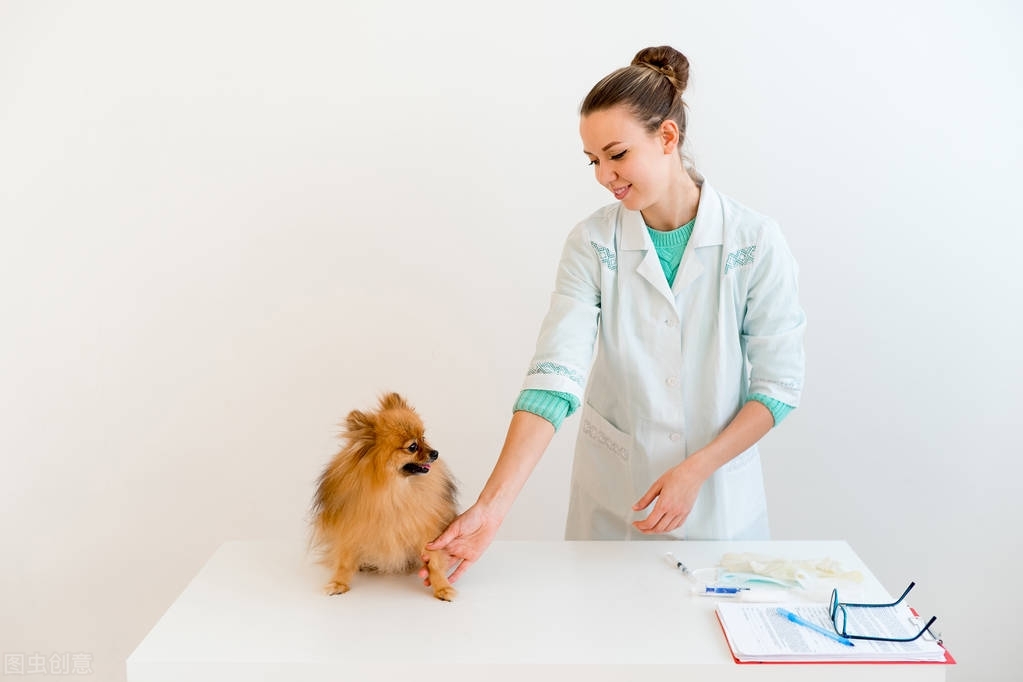 狗狗便血拉稀可以吃云南白药粉吗,狗狗拉稀便血吃什么药好得快