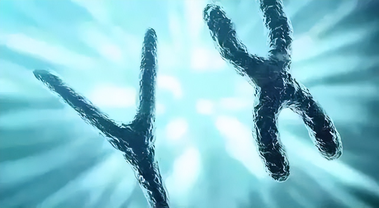 22岁女孩一年没有来例假,25岁没来姨妈检查发现自己是男的