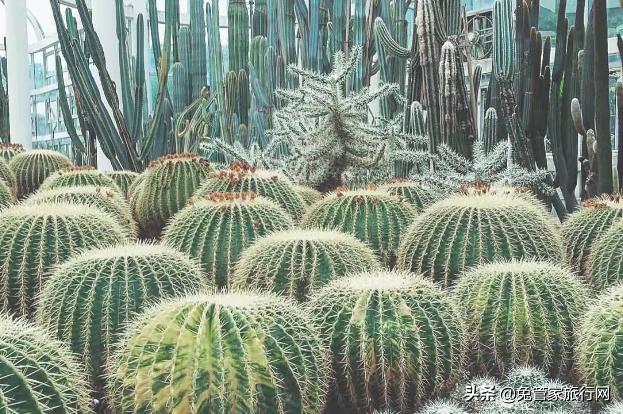 五一去厦门攻略路线图最新,5月份去厦门的旅游攻略