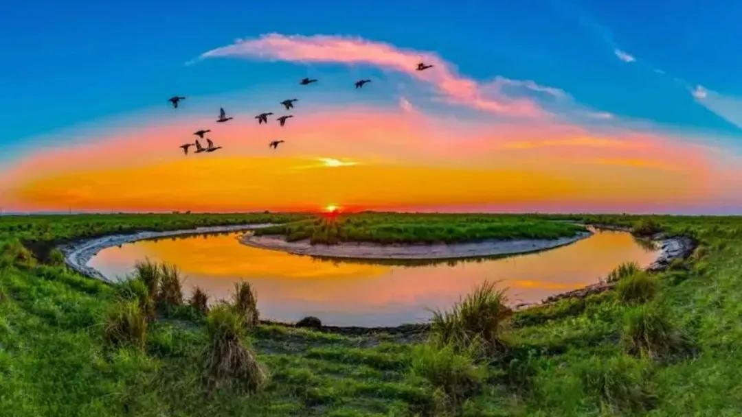 双鸭山最宜居的地方,双鸭山是中国最东北的城市