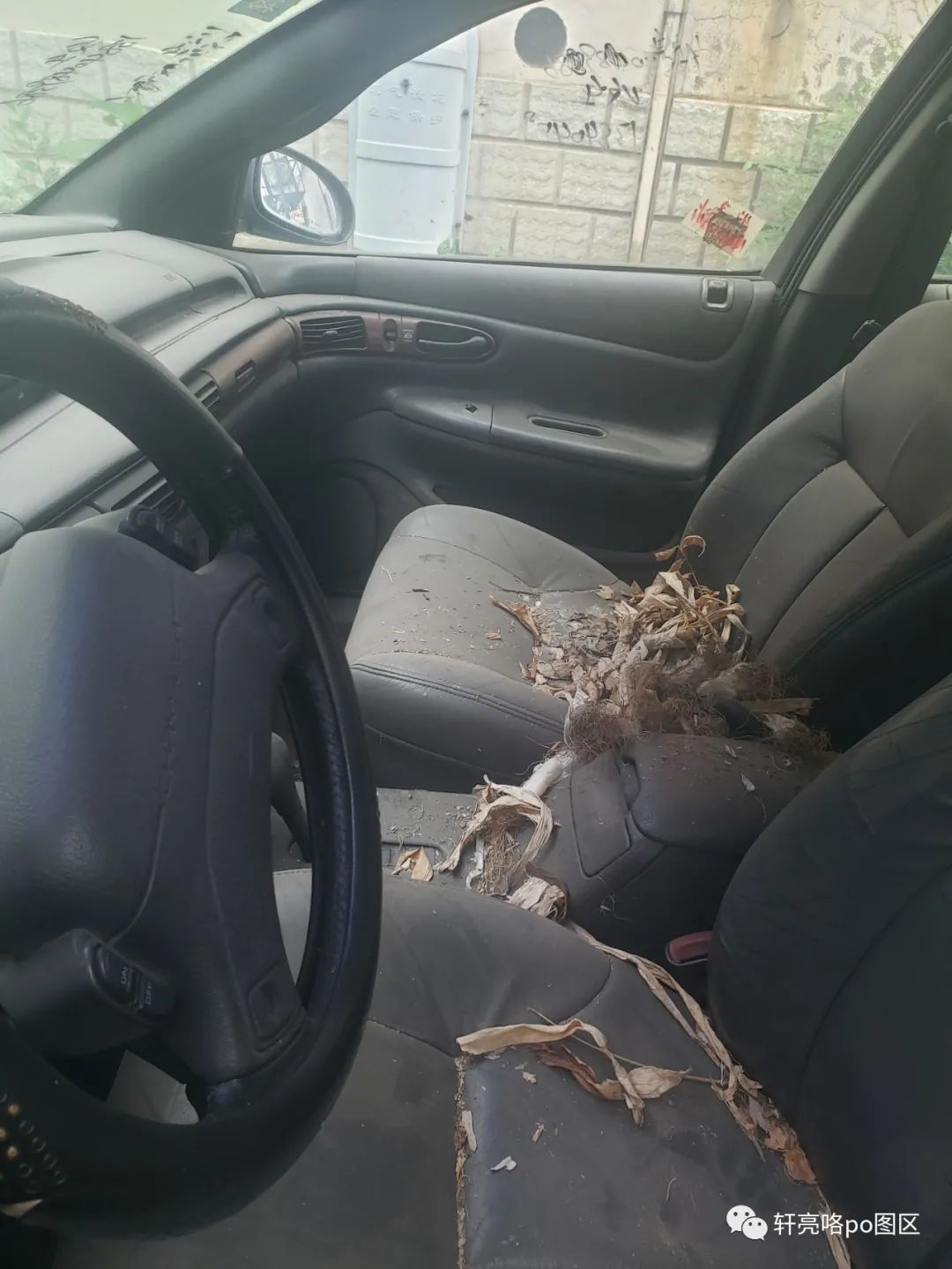 角落里的报废车,角落里的老车